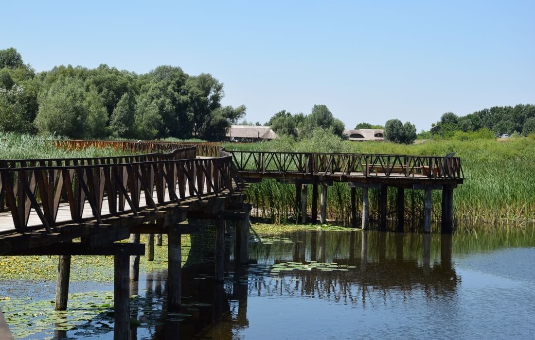 Wooden walkway over lakes in Kopacki rit